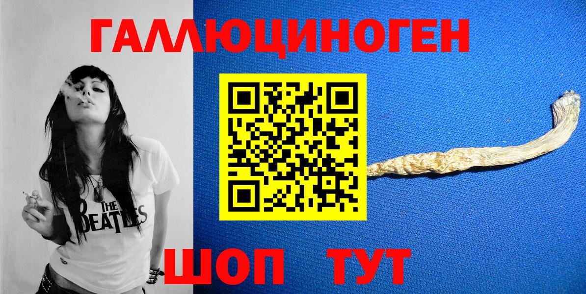 Галлюциногенные грибы Psilocybe Моздок